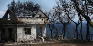 (Φωτογραφία: IntimeNews/ΛΙΑΚΟΣ ΓΙΑΝΝΗΣ)