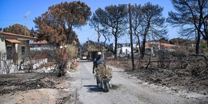 Μάτι (Φωτογραφία: EUROKINISSI/ΜΙΧΑΛΗΣ ΚΑΡΑΓΙΑΝΝΗΣ)