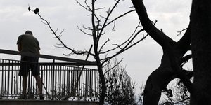 Μια ημέρα μετά την πυρκαγιά στο Μάτι/Φωτογραφία: ΑΡ