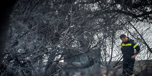 Φωτιά στο Μάτι (Φωτογραφία αρχείου: EUROKINISSI/ΤΑΤΙΑΝΑ ΜΠΟΛΑΡΗ)