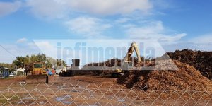 Λίπασμα για το έδαφος γίνονται οι κομμένοι κορμοί των καμμένων δέντρων στο Μάτι 