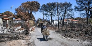 Μάτι (Φωτογραφία: EUROKINISSI/ΜΙΧΑΛΗΣ ΚΑΡΑΓΙΑΝΝΗΣ)