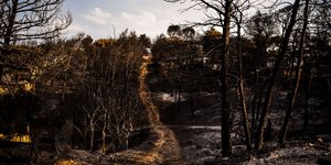 Φωτιά στο Μάτι (Φωτογραφία: EUROKINISSI/ΤΑΤΙΑΝΑ ΜΠΟΛΑΡΗ)