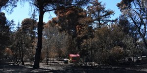 Αυξάνεται ο τραγικός απολογισμός από τη φονική πυρκαγιά (Φωτογραφία: EUROKINISSI/ ΜΙΧΑΛΗΣ ΚΑΡΑΓΙΑΝΝΗΣ)