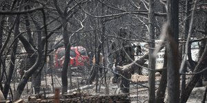 Φωτογραφία: EUROKINISSI- ΜΠΟΛΑΡΗ ΤΑΤΙΑΝΑ
