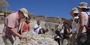 Μυτιλήνη απολιθωμένο δάσος/ Φωτογραφία lesvospost