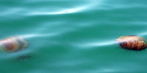 Φωτογραφία: ΜΠΟΥΓΙΩΤΗΣ ΒΑΓΓΕΛΗΣ/Eurokinissi/Αρχείο