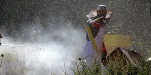 Φωτογραφία: Eurokinissi/Βασίλης Παπαδόπουλος