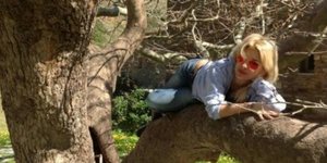 H Ελένη Μενεγάκη σκαρφαλώνει σε ένα... δέντρο! [εικόνα]