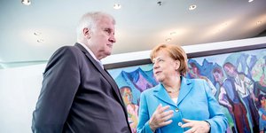 Η Μέρκελ με τον υπ. Εσωτερικών Ζέεχοφερ -Φωτογραφία: Michael Kappeler/dpa via AP