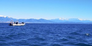 Πτώση αεροσκάφους στο Μεσολόγγι / Φωτογραφία: IntimeNews