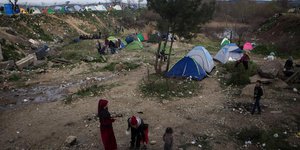   Nick Paleologos / SOOC