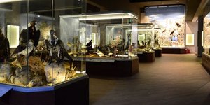 φωτογραφίες: meteoramuseum.gr