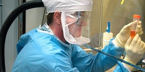 φωτογραφία: pixabay.com