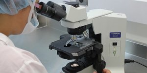 φωτογραφία: pixabay.com