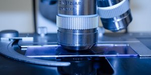 Φωτογραφία: Pixabay