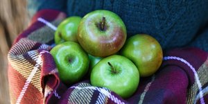 Φωτογραφία: Shutterstock