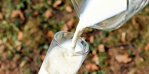 φωτογραφίες: pixabay.com