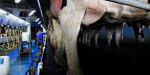 Ελλείψεις σε γαλακτοκομικά προϊόντα στην Ευρώπη -Φωτογραφία αρχείου: AP Photo/Carrie Antlfinger