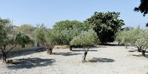 Φωτογραφία: MirroPix