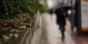 Φωτογραφία: Eurokissi