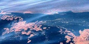 Στο νοσοκομείο παιδί λόγω εγκαυμάτων από τοξική ουσία στη θάλασσα