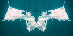 Φωτογραφία της Janeanne Gilchrist από τη συλλογή «Above