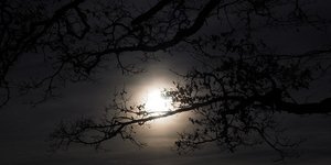 φωτογραφία: pixabay.com
