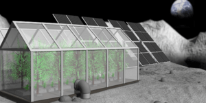 Λαχανικά στο φεγγάρι σχεδιάζει να φυτέψει η NASA 