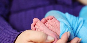 ΦΩΤΟΓΡΑΦΙΑ: PIXABAY