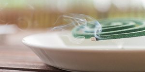 Φιδάκι/ Φωτογραφία: Shutterstock