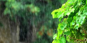 ΦΩΤΟΓΡΑΦΙΑ: EUROKINISSI/ΘΑΝΑΣΗΣ ΚΑΛΛΙΑΡΑΣ