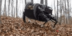 Ρομποτικό μουλάρι υπακούει σε φωνητικές εντολές [βίντεο]