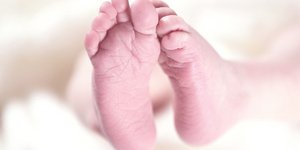 Φωτογραφία: Pixabay