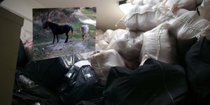 Αλβανοί πέρασαν στην Ελλάδα μουλάρια φορτωμένα... με 550 κιλά χασίς