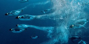 Η ζωή στον κόσμο το 2012 μέσα από το φακό του National Geographic [εικόνες]