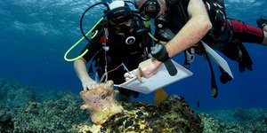 Συνολικά έγινε σάρωση θαλάσσιας έκτασης 6.2 τετραγωνικών χιλιομέτρων