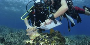 Αλώβητη από επεμβάσεις 