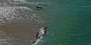 Αρχισαν τα μπάνια στο Ναύπλιο (Φωτογραφία: Αργολικές ειδήσεις)
