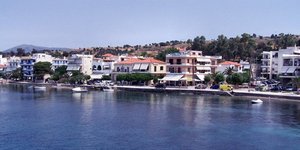 Κτηνωδία στην Εύβοια -Ιδιοκτήτης ταβέρνας σκότωσε αδέσποτο σκύλο [εικόνες]