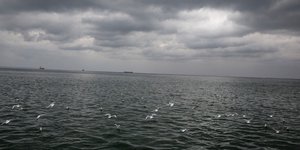 Φωτογραφία: SOOC