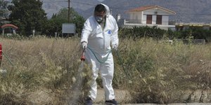 Φωτογραφια: Eurokinissi- ΠΑΠΑΔΟΠΟΥΛΟΣ ΒΑΣΙΛΗΣ