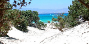 Κι όμως υπάρχει νησί στην Ελλάδα που δεν έχει ούτε μία τουαλέτα