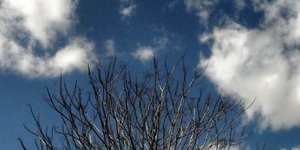 ΦΩΤΟΓΡΑΦΙΑ: EUROKINISSI