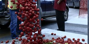 Φωτογραφία αρχείου: Alexandros Michailidis / SOOC
