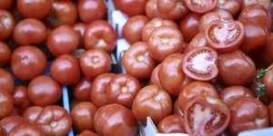 Ακατάλληλες ντομάτες