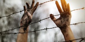 Φωτογραφία: SHUTTERSTOCK