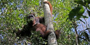 ΦΩΤΟΓΡΑΦΙΑ: AP