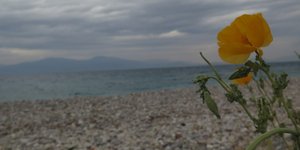 ΦΩΤΟΓΡΑΦΙΑ: EUROKINISSI