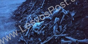 Ανθρώπινα οστά/ Φωτογραφία: lesvospost.com